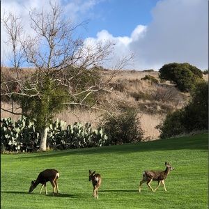 Meet your Posher, Serry